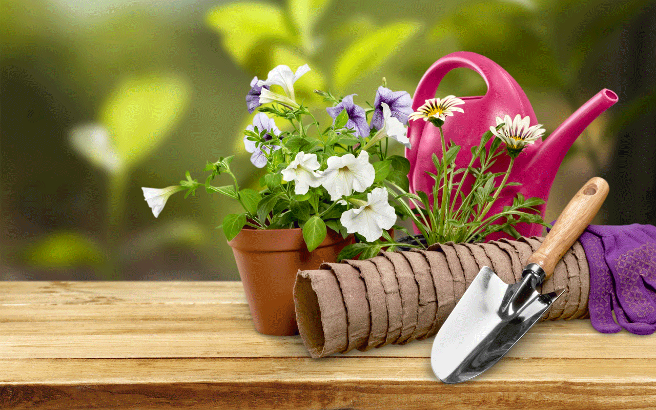 It’s Time to Design Your Dream Outdoor Living Space